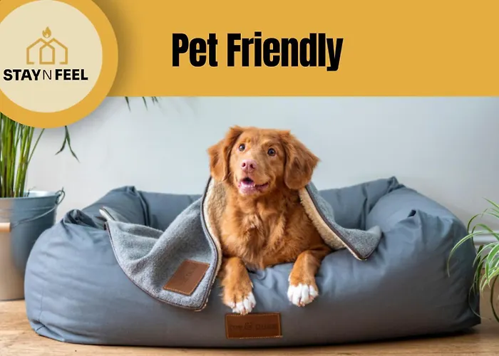 Staynfeel 01 Апартаменты *